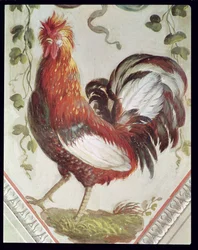 Detalle de un gallo, finales del siglo XVIII